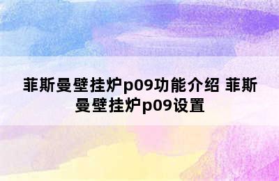 菲斯曼壁挂炉p09功能介绍 菲斯曼壁挂炉p09设置